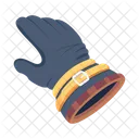 Pirate Glove  Icon
