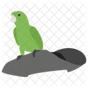 Pirate Parrot  Icon