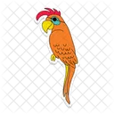 Pirate Parrot Parrot Pirate Icon