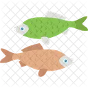 Astrological Symbol Colorful Fish Pisces Icon