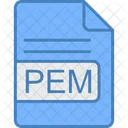 Pem Archivo Formato Icono