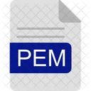 Pem Archivo Formato Icono