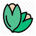 Pista Dryfruit Nuts Icon