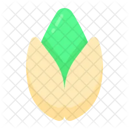 Pistachio  Icon