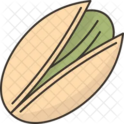 Pistachio  Icon