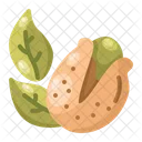 Pistachio Nut Food Icône