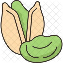 Pistachio  Icon