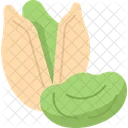Pistachio Nut Snack Icon