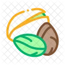 Pistachio Nut Food Icon