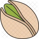 Pistachios Nut Seed Icon