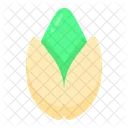 Pistacho Icon