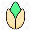 Pistacho Icon