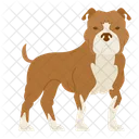 Pit Bull Dog Puppy Icon