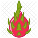 Pitahaya Fruit Dragonfruit Icon