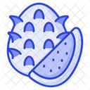Pitaya Dragon Fruit Icon