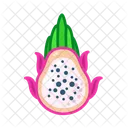 Pitaya Fruits Fruite Icon