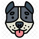 Pitbull Dog  Icon