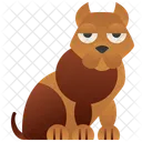 Pitbull  Ícone