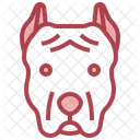 Pitbull  アイコン