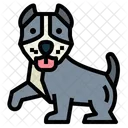 Pitbull  Symbol