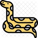 Pitones Birmano Serpiente Icono