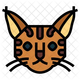 Pixie Bob Cat  Icon