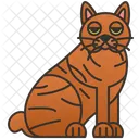 Pixiebob  Icon