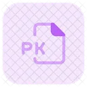 Pk File Audio File Audio Format Icon