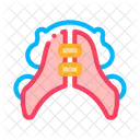 Dental Placa Estomatologia Icon