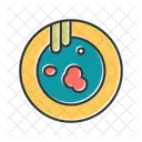 Placa  Icon