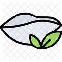 Prato Folha Cha Icon