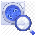 Placa De Petri Bacterias Virus Icono