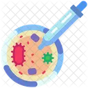 Placa De Petri Bacterias Laboratorio Icono