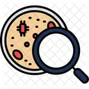 Placa De Petri Bacterias Laboratorio Icono