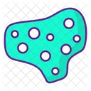 Disease Infection Virus Icon