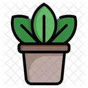Plan Pot  Icon
