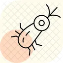 Plankton Ocean Marine Icon