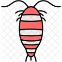 Plankton Microorganism Ocean Icon