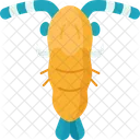 Plankton  Icon
