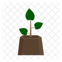 Plant Tropical Green Icône