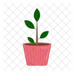 Plant  Icon