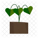 Plant Tropical Green Symbol