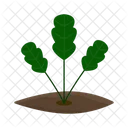 Plant Tropical Green Icon