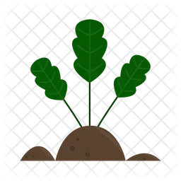 Plant  Icon