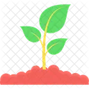 Plant Environment Nature Symbol