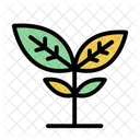 Plant Nature Leaf Icon