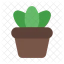 Plant Plants Pot Icon