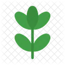 Nature Leaf Green Icon