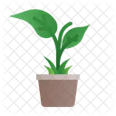 Plant  아이콘
