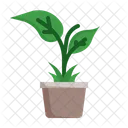 Plant  아이콘